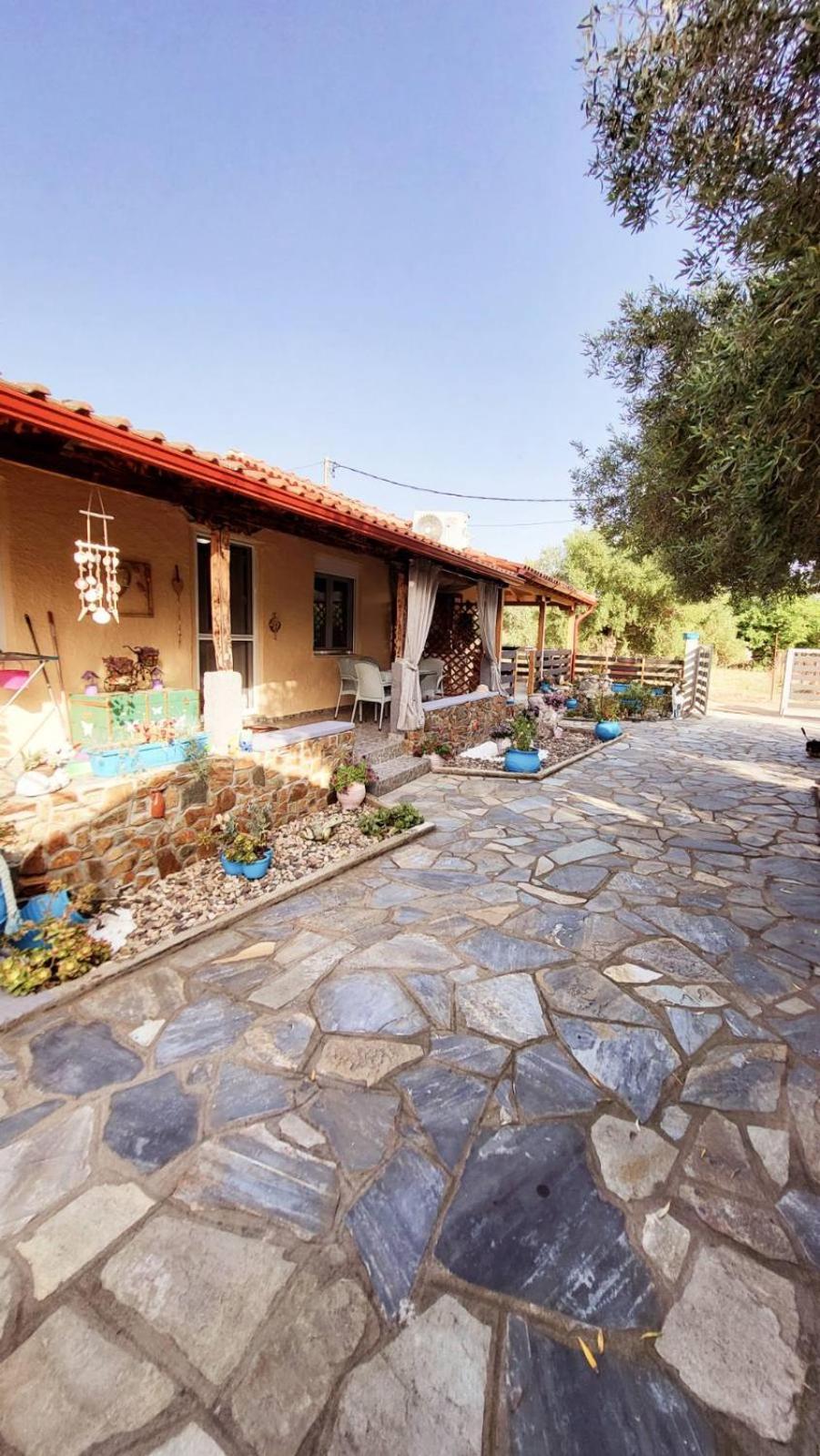 דירות טורוני Housebutterfly מראה חיצוני תמונה